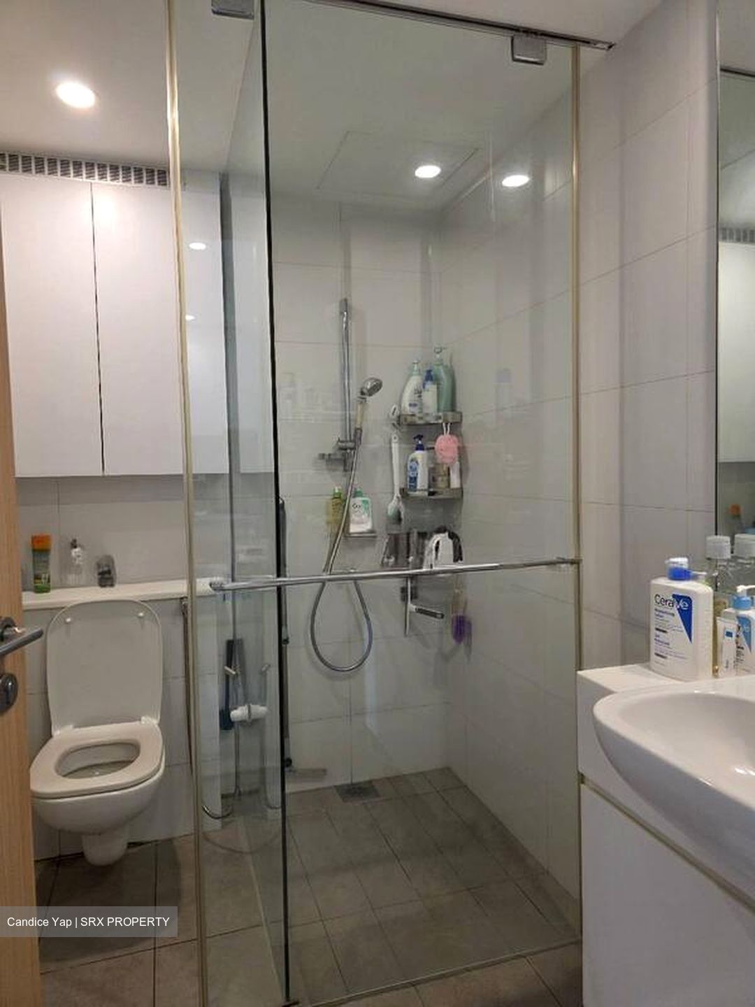 Ripple Bay (D18), Condominium #498284011